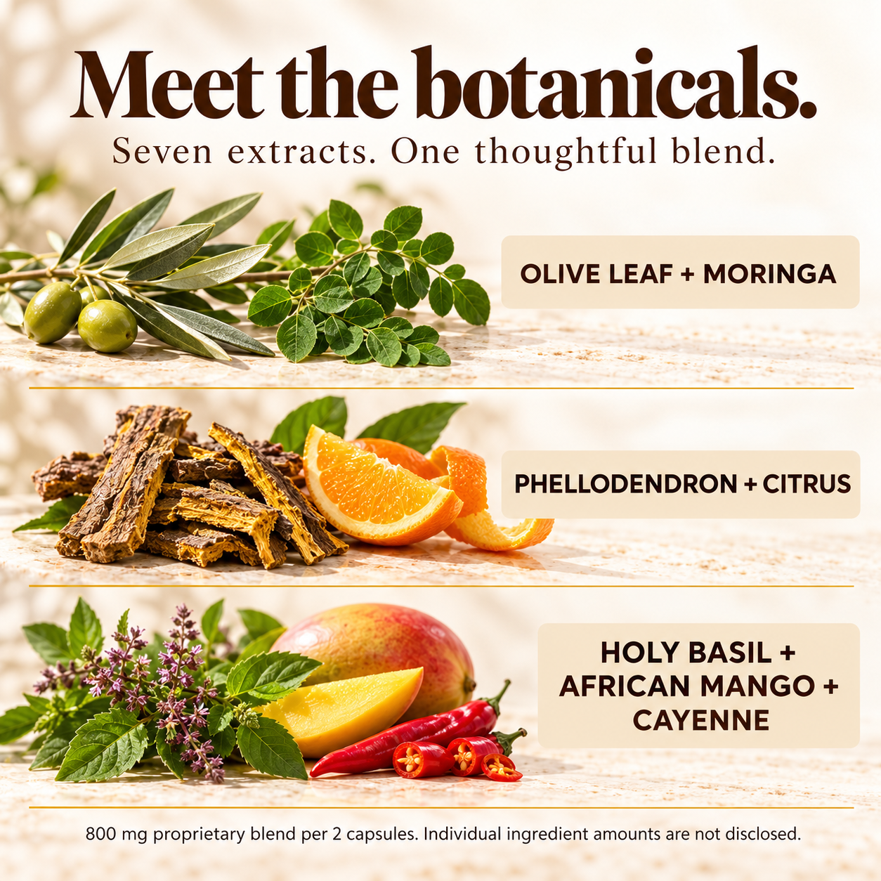 Olive leaf, moringa, phellodendron, citrus, holy basil, African mango and cayenne