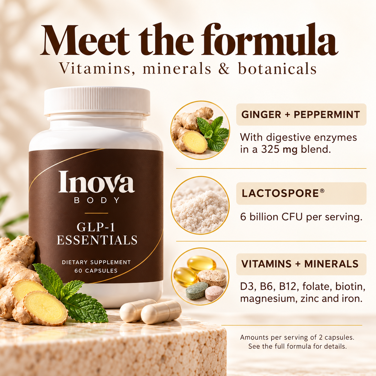 Formula: ginger and peppermint, LactoSpore probiotics, vitamins and minerals