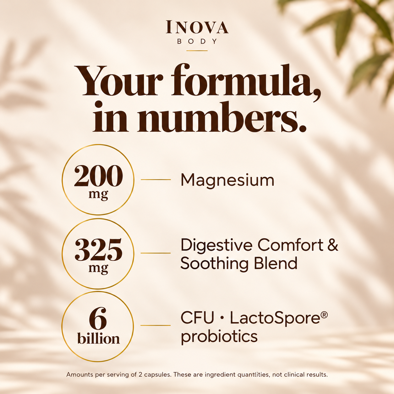 Per two capsules: magnesium 200 mg, digestive blend 325 mg, LactoSpore 6 billion CFU
