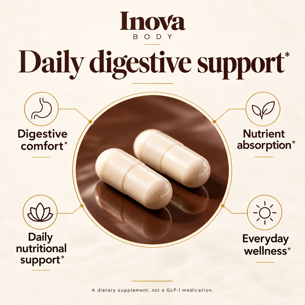 Daily digestive support: digestive comfort, nutrient absorption, nutritional support and everyday wellness